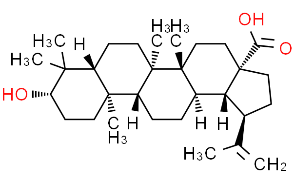 白桦脂酸