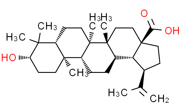 表白桦脂酸