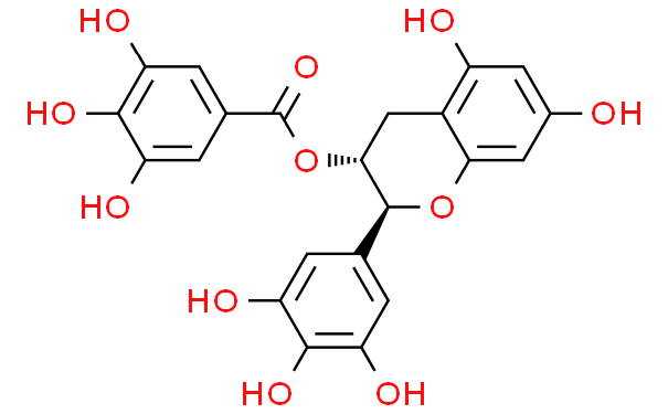 没食子儿茶素没食子酸酯