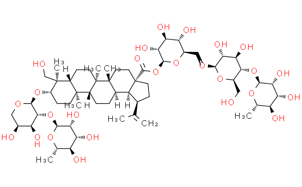 白头翁皂苷B4