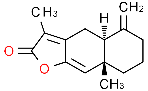 白术内酯Ⅰ