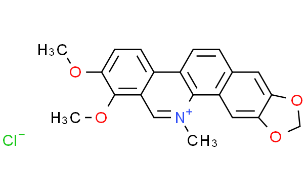 盐酸白屈菜红碱
