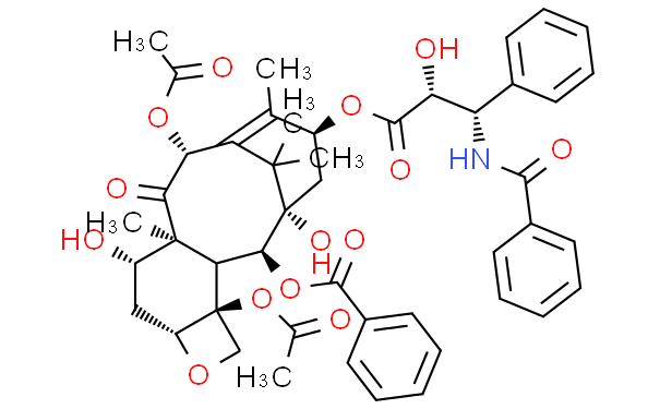 7表紫杉醇