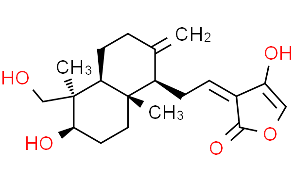 脱水穿心莲内酯99%