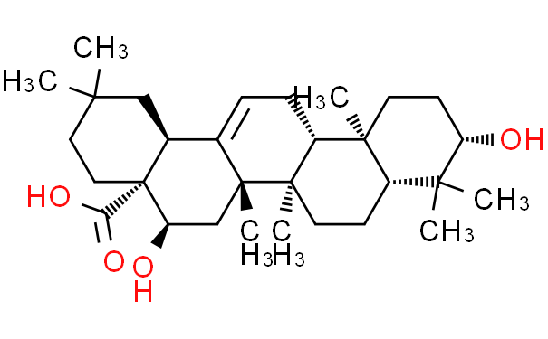 刺囊酸