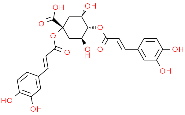 13O二咖啡酰奎宁酸