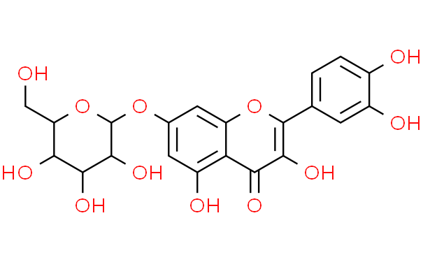 槲皮素7O葡萄糖苷