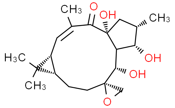 环氧续随子醇