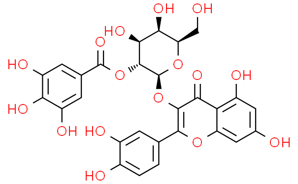 2”O没食子酰基金丝桃苷
