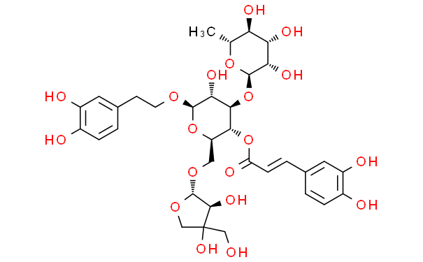 连翘酯苷B