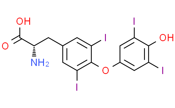 L-甲状腺素检测标准品